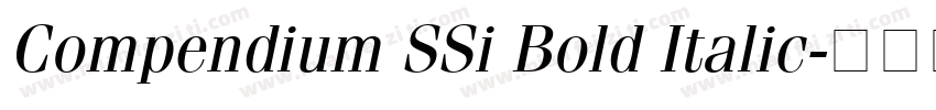 Compendium SSi Bold Italic字体转换